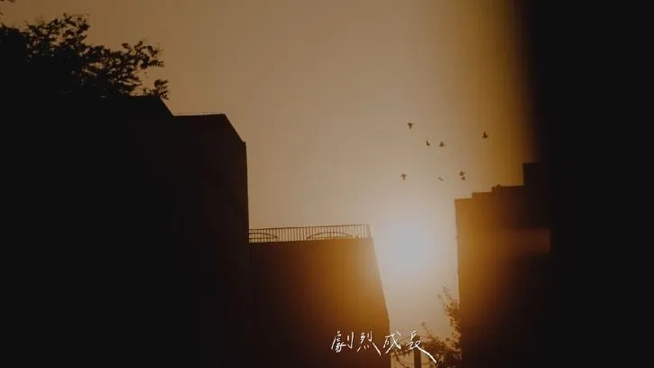 多想隨遇而安 — still 02